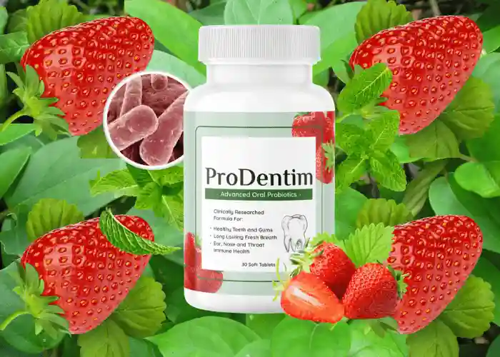 prodentim buy